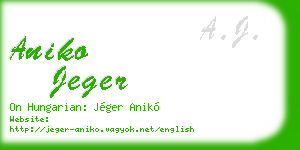 aniko jeger business card